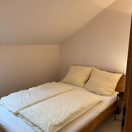 Bergblick 아파트 고슬라르